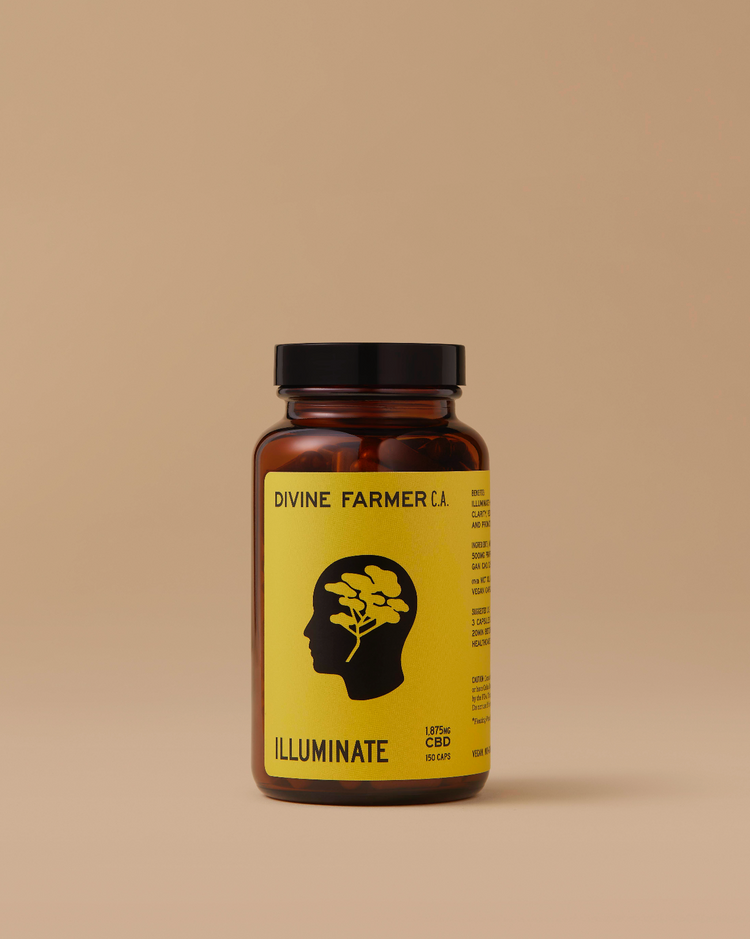 Illuminate pill bottle